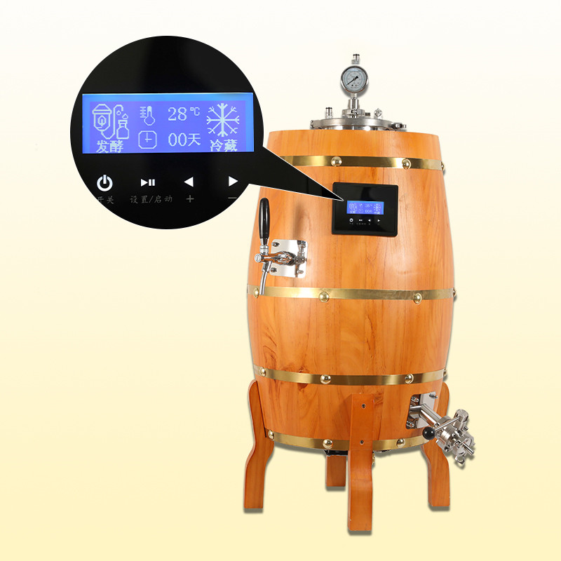 WEAMC 30L DIY home craft beer brewing machine mash fermentation system hot sell in South Aferica 